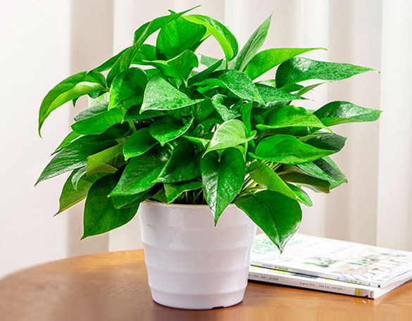 1653986603818338.jpg 7d71dcbdffc16c4fc3288f671a688097.jpg