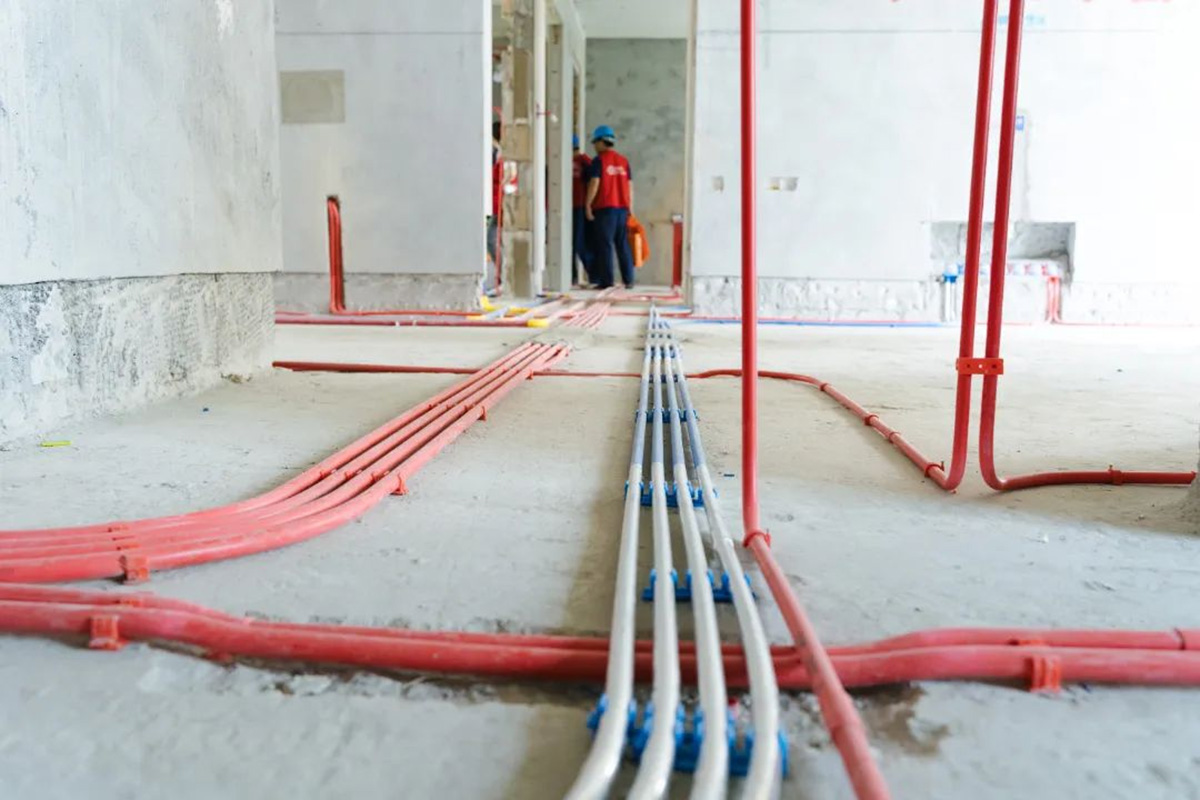 1654854080569555.jpg 圖片5.jpg